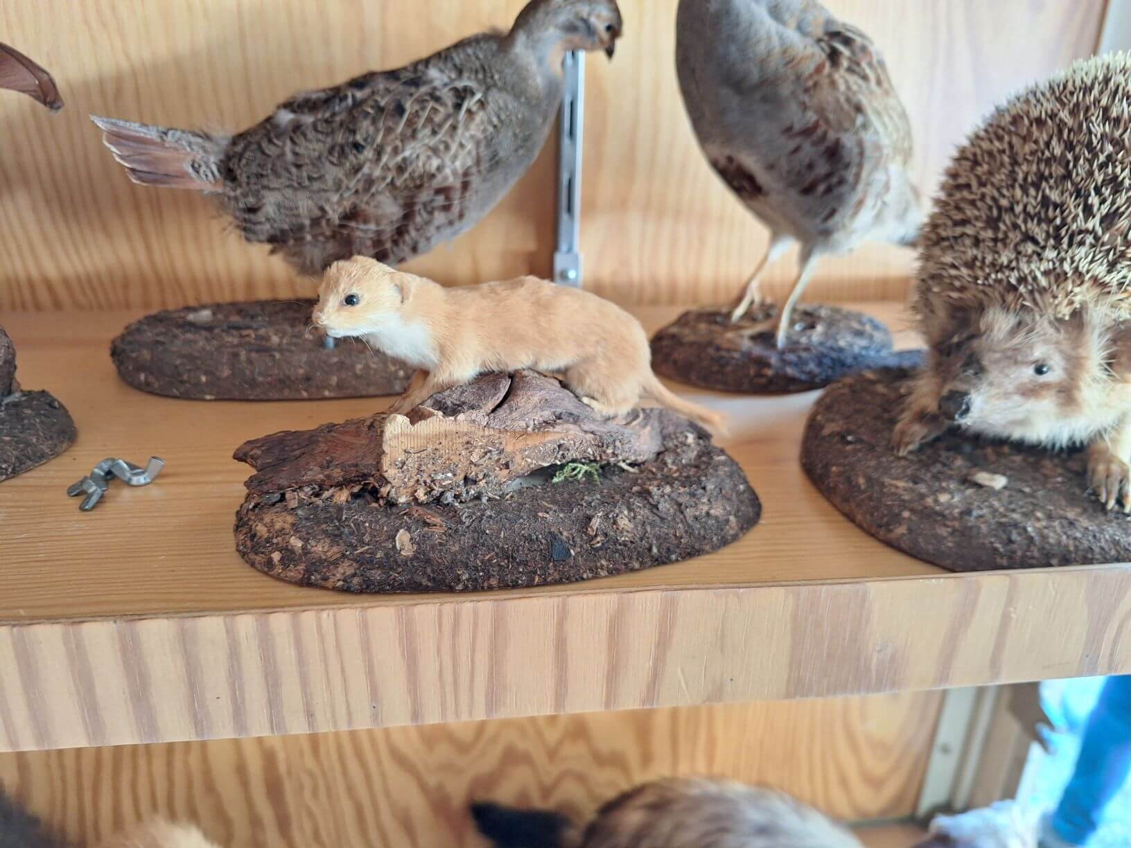 Jubiläum Forstzweckverband