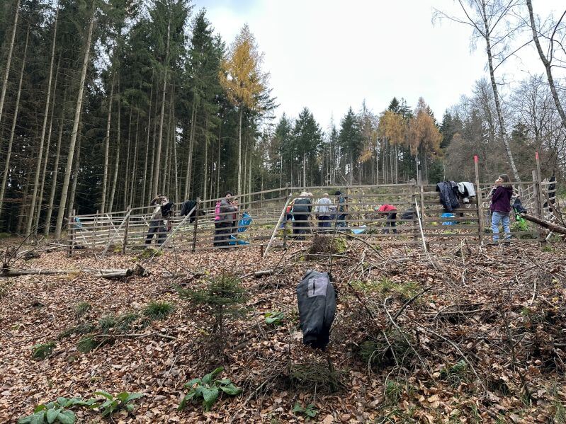 Planzaktion Jubiläumswald Niederkirchen Forstzweckverband Mittelhaardt