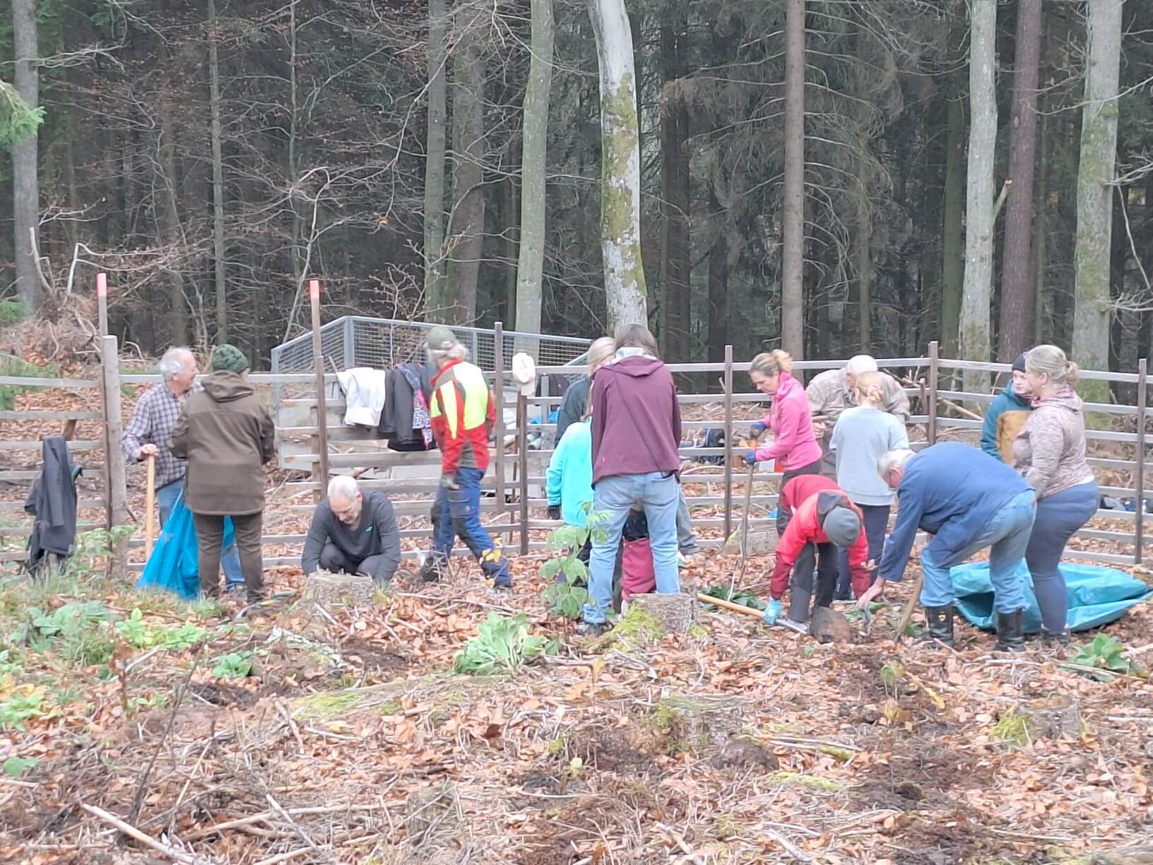 Planzaktion Jubiläumswald Niederkirchen Forstzweckverband Mittelhaardt