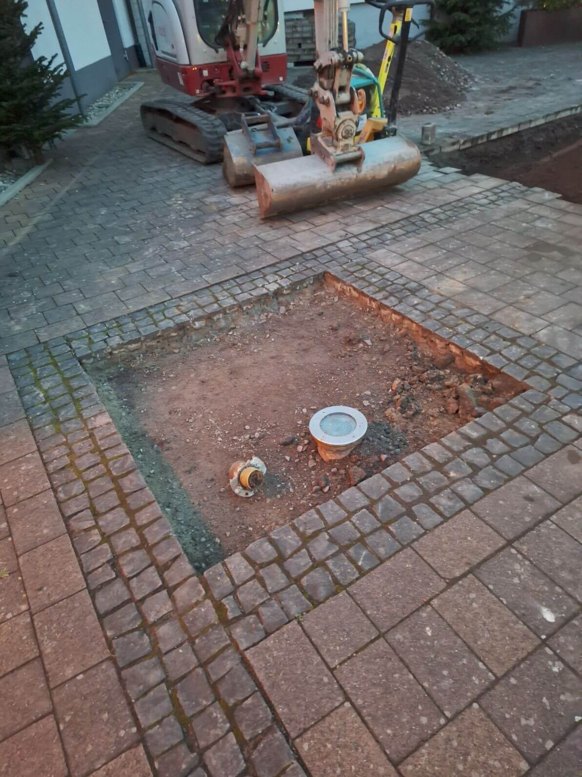 neue Bäume Dorfplatz Niederkirchen