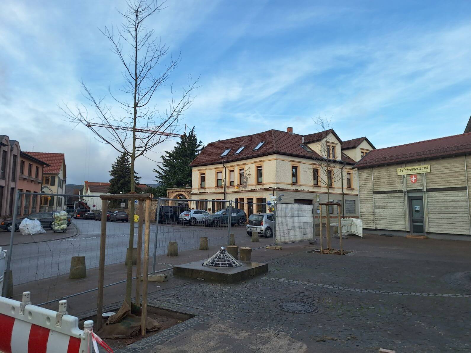 neue Bäume Dorfplatz Niederkirchen